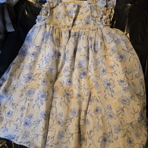 Rachel Zoe Blue and Cream Pleated Sundress - Picture 1 of 3